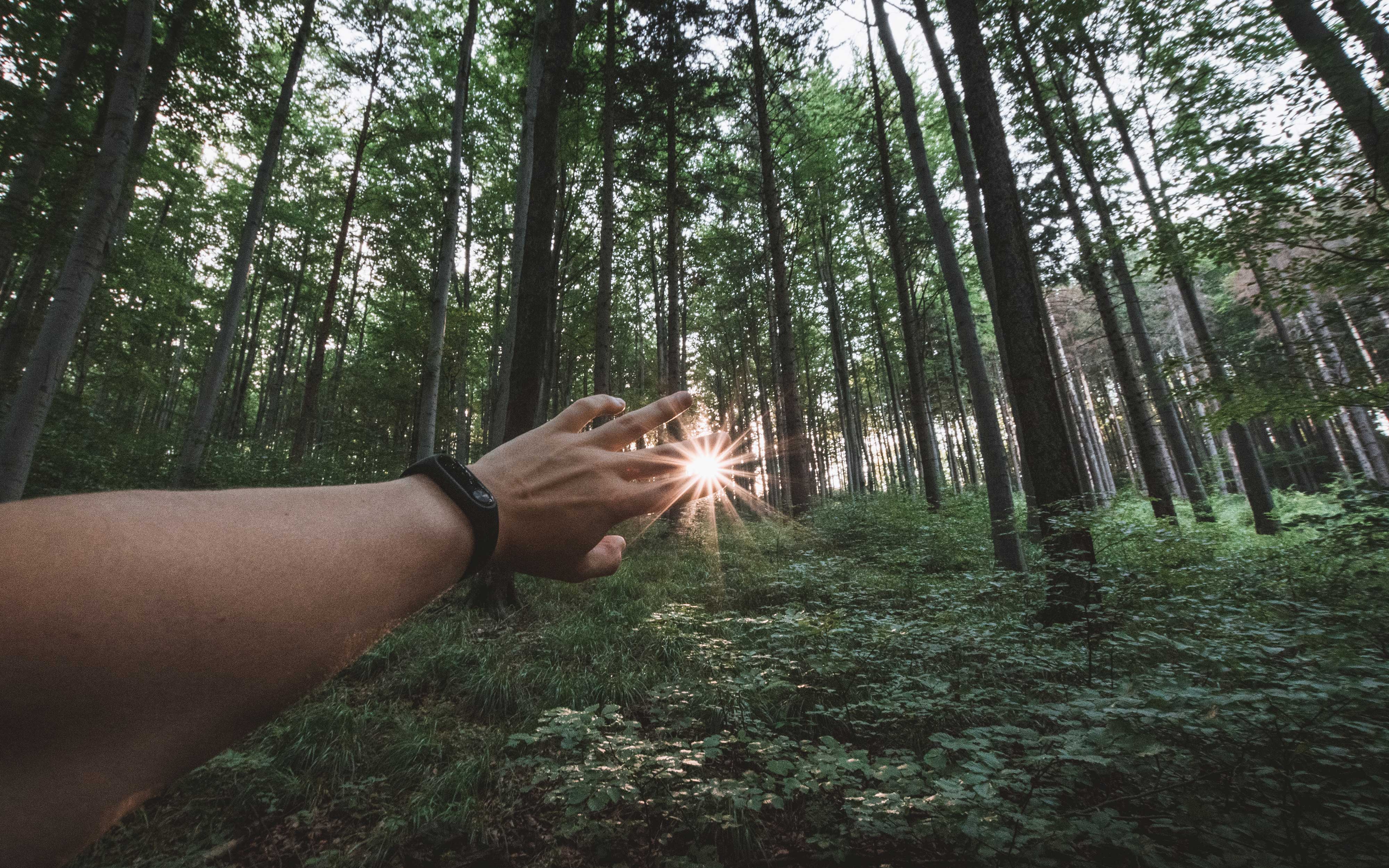 Post Lockdown Getaway Edit