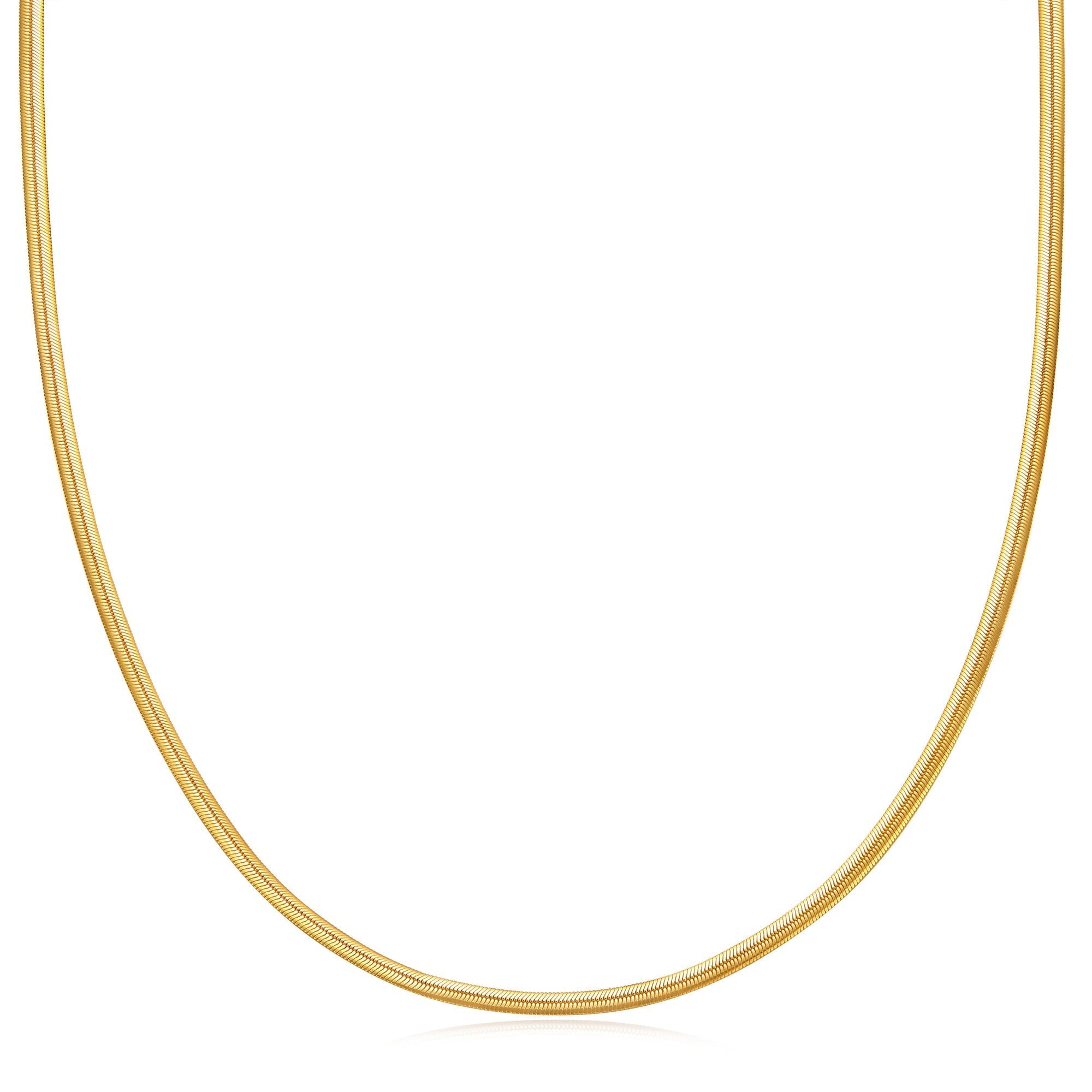 Ania Haie Gold Flat Snake Chain Necklace Elegant Modern Jewelry