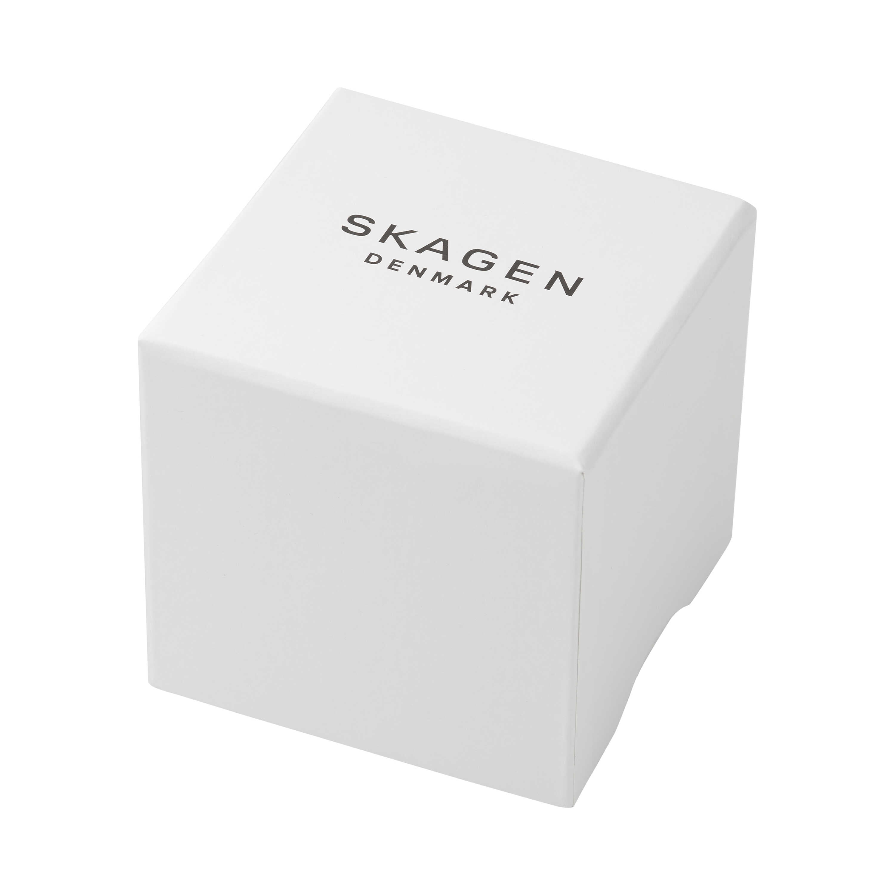 Skagen Mellem Lille Two Tone Stainless Steel Watch SKW3160