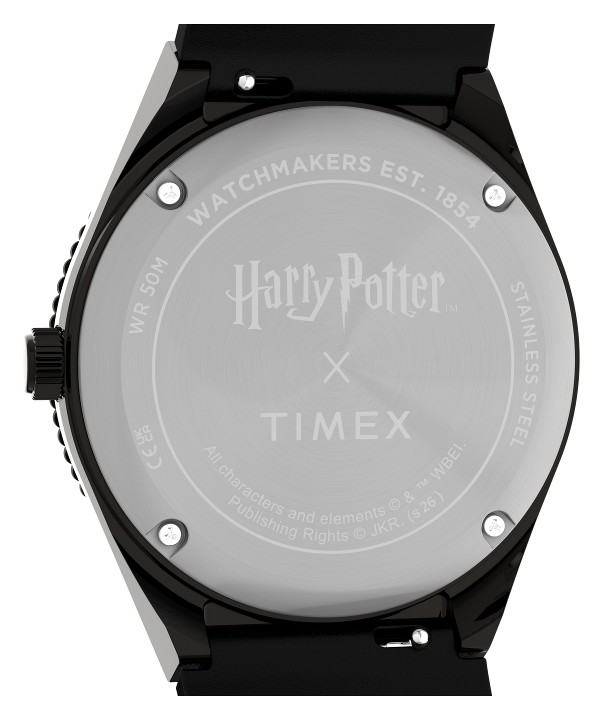 Timex Harry Potter Time Turner TW2Y76000 view 4