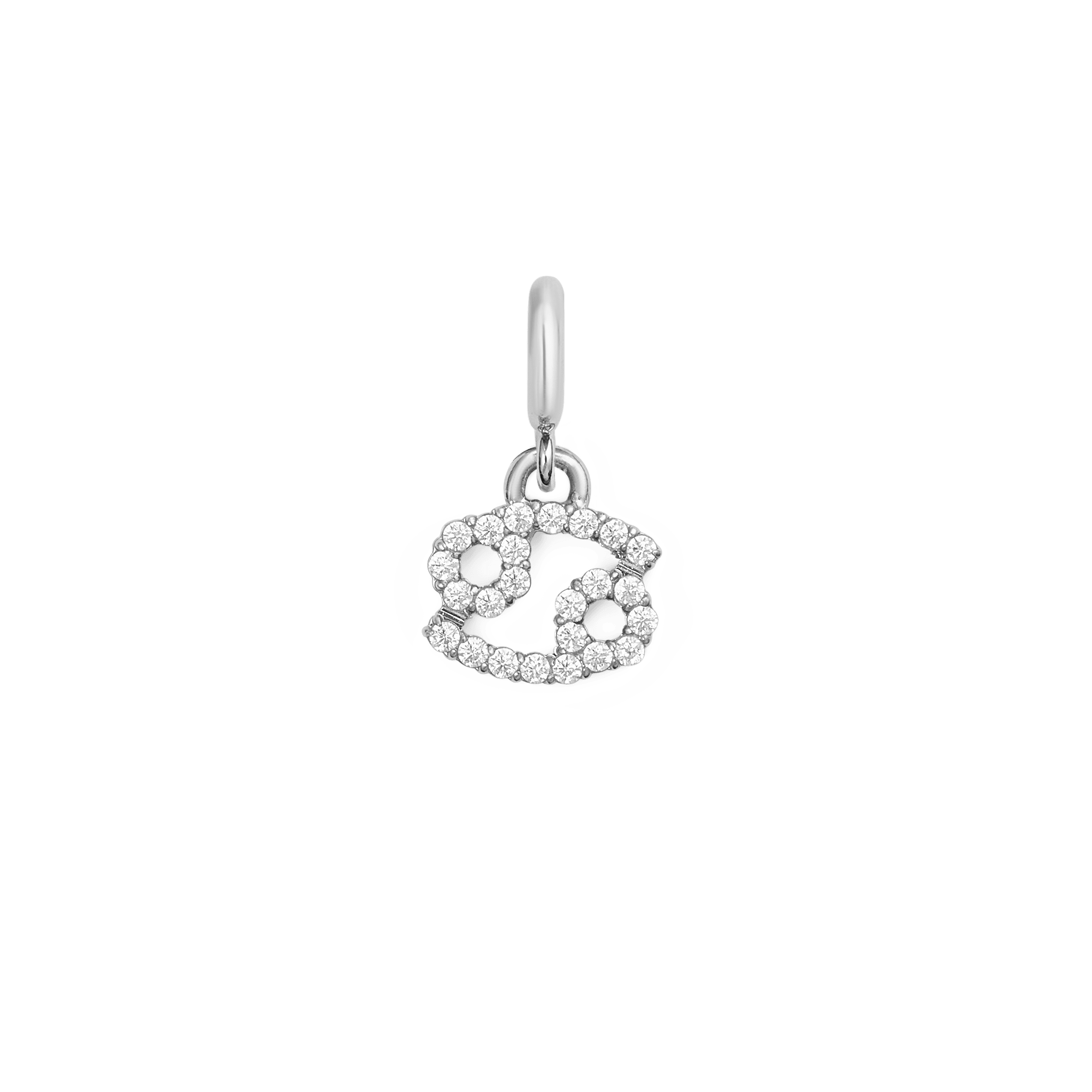 Daniel Wellington Zodiac Watch Charm Silver