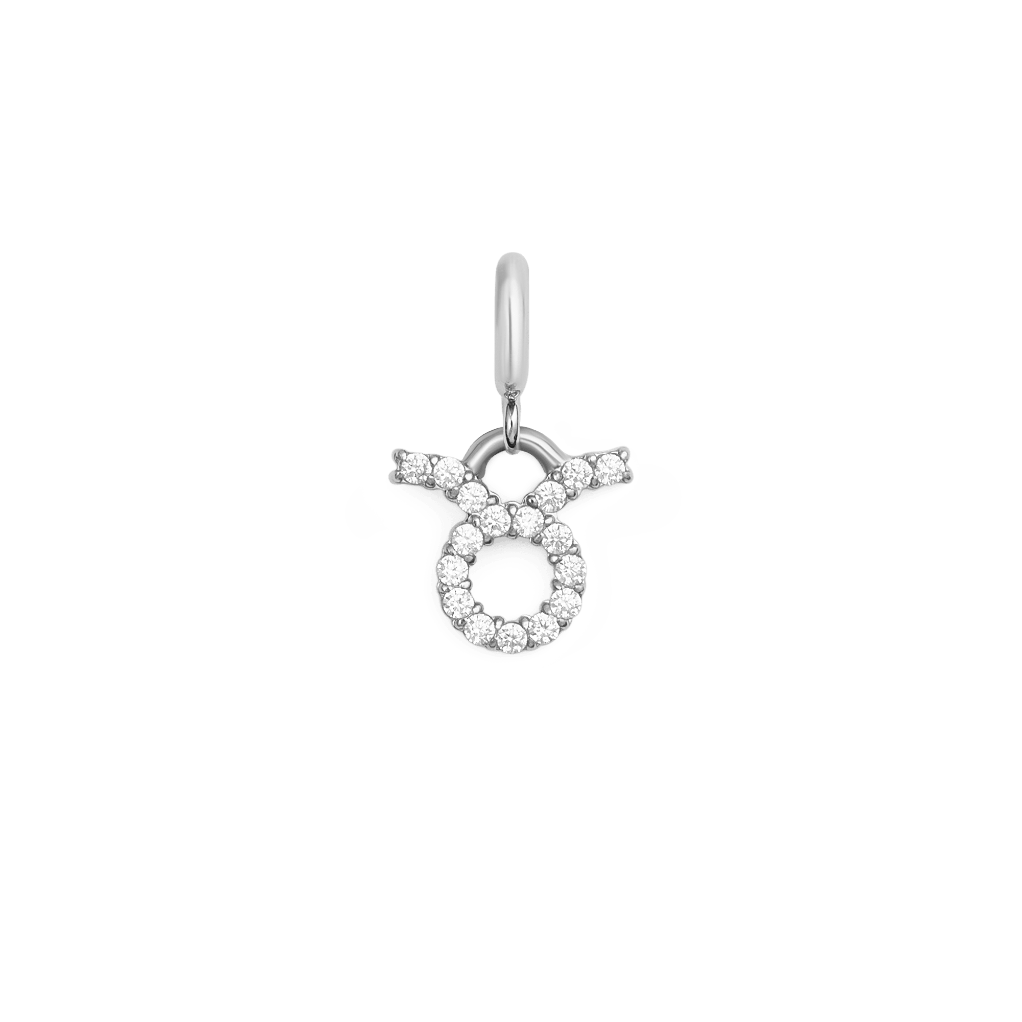 Daniel Wellington Zodiac Watch Charm Silver
