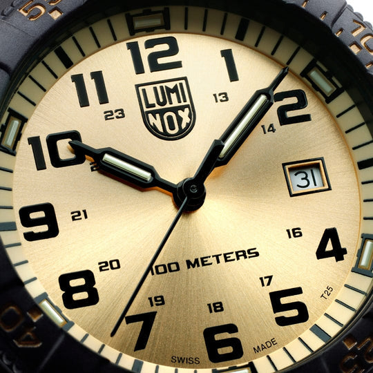 Analog wristwatch face with luminous dial showing 10:10 time.