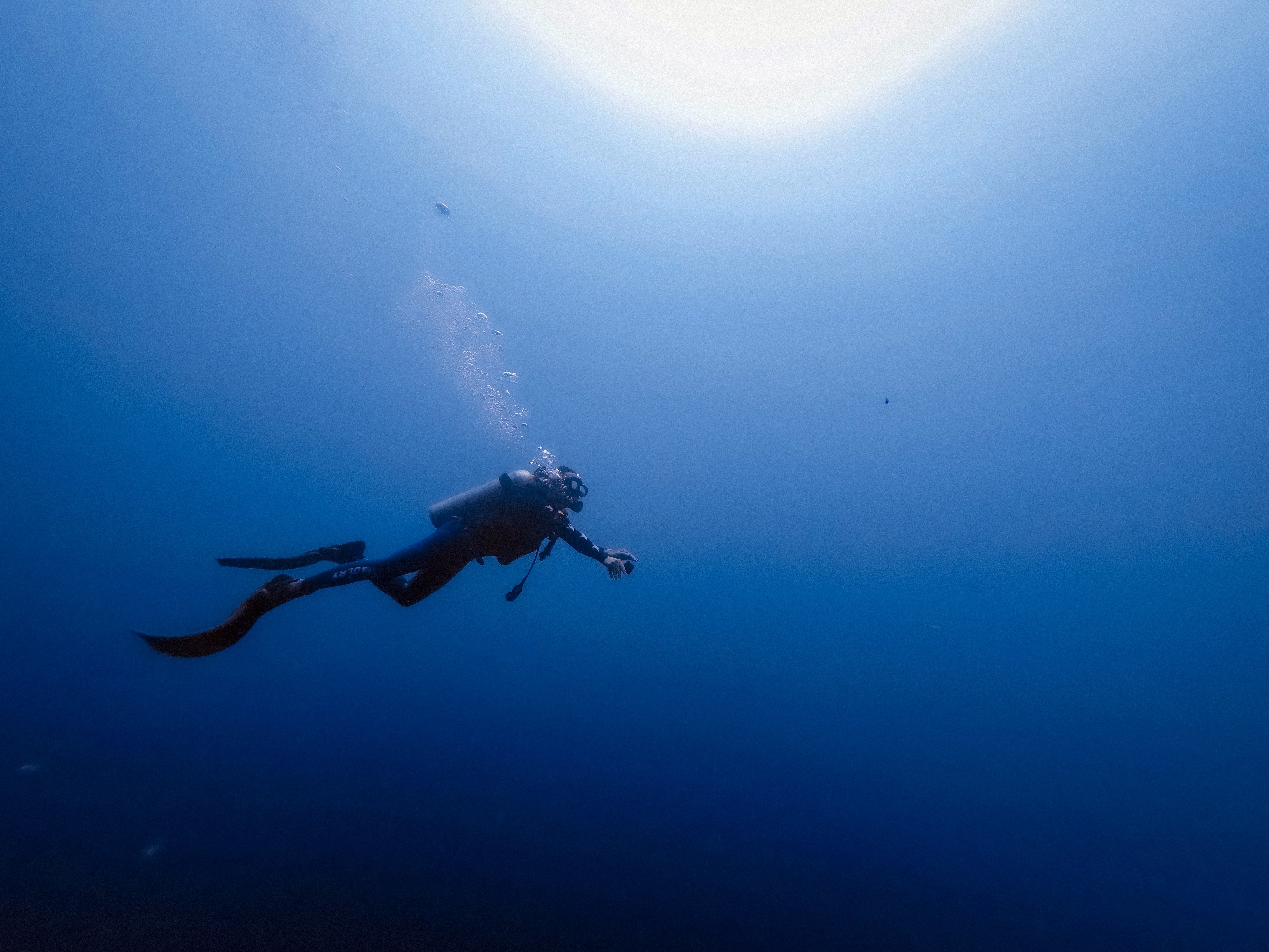 DIVING WATCHES