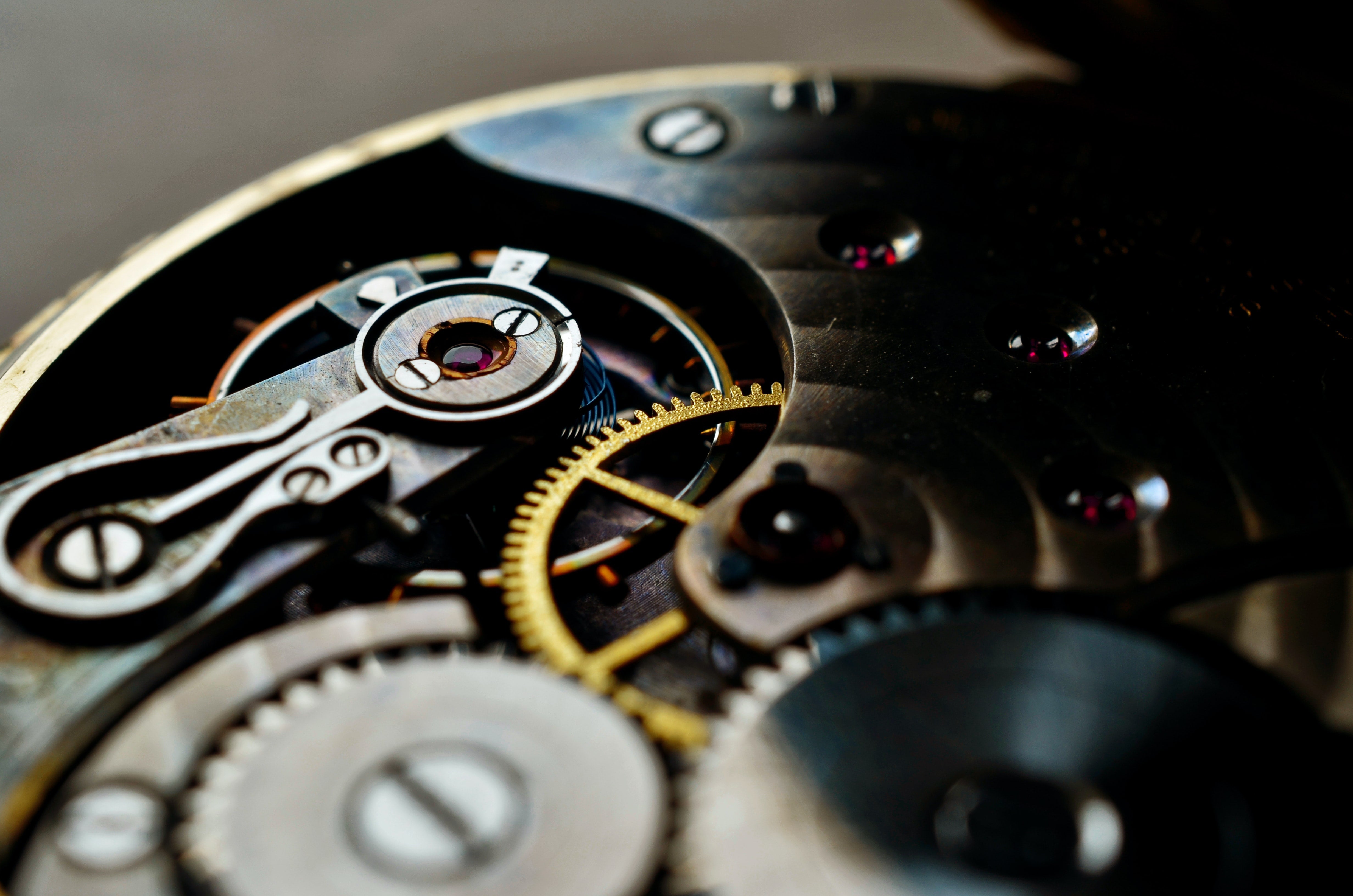Explore By Watch Movements