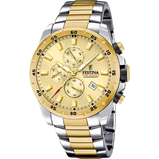 Reloj Festina Gold Dial Stainless Steel Men's Watch F20562/1