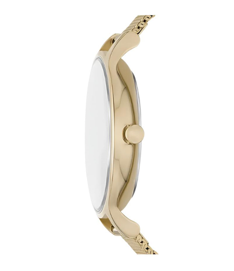 Skagen Anita Lille Gold Mesh Watch with Green Dial SKW3145