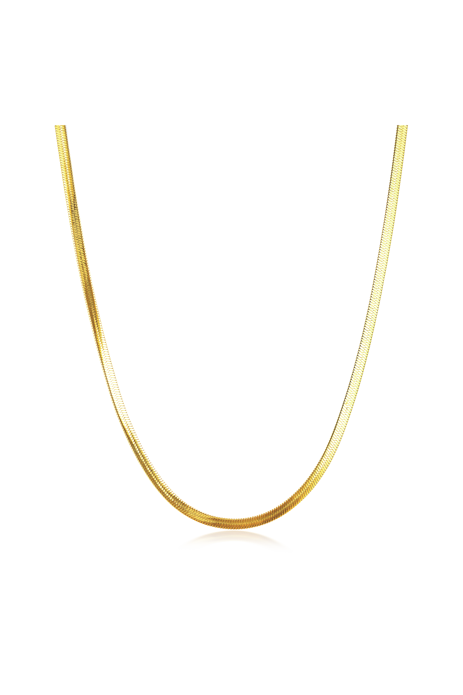 Cendré Beau Snake gold necklace on a white background