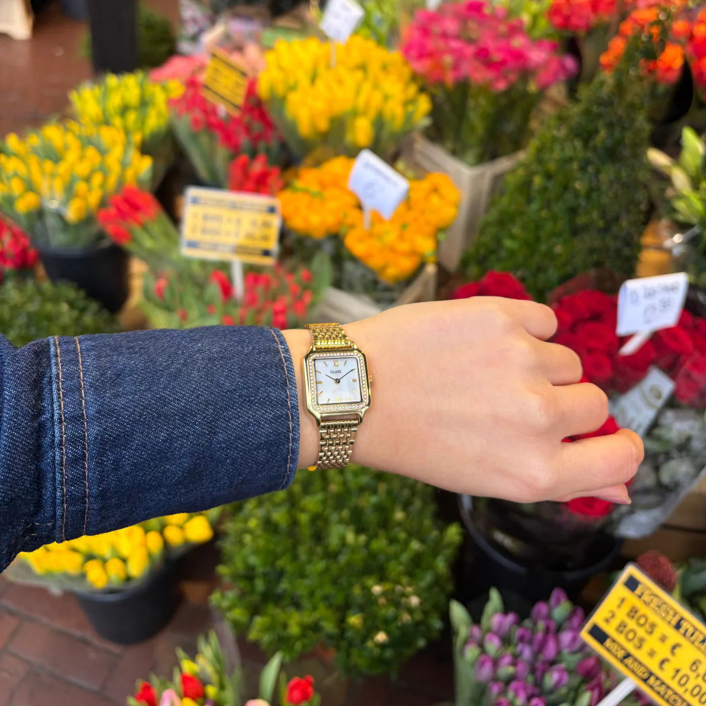 CLUSE Gracieuse Petite Stainless Steel Glass Pearls White Gold Women's Watch CW11826