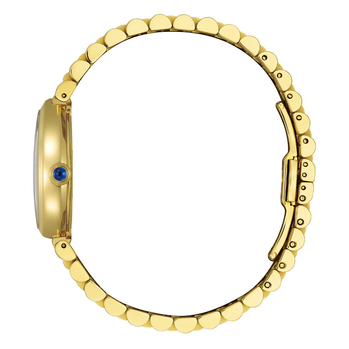 Ladies' Citizen Eco-Drive Rainell Gold-Tone EM1202-50P