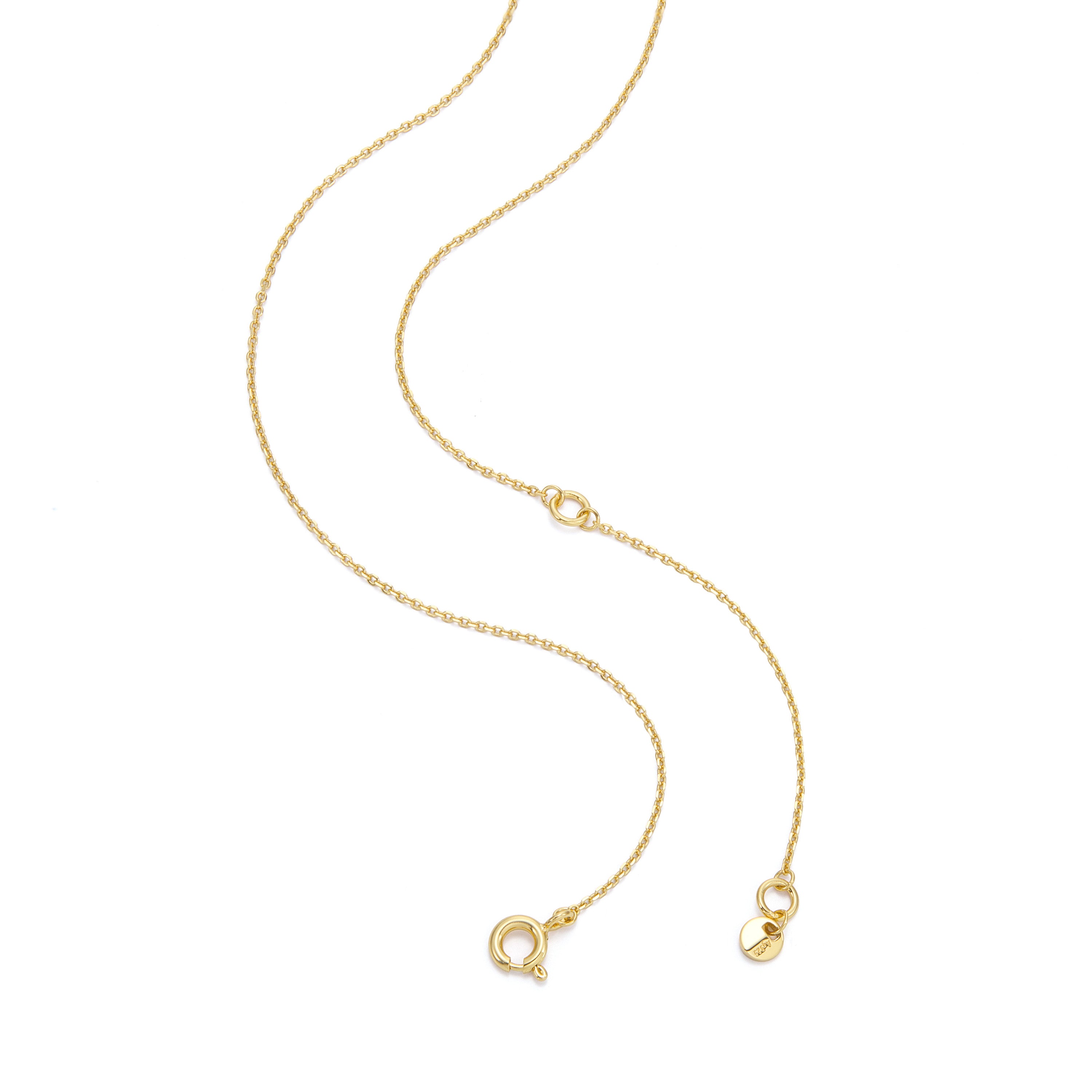Michael Kors Premium Gold Necklace MKC1835710