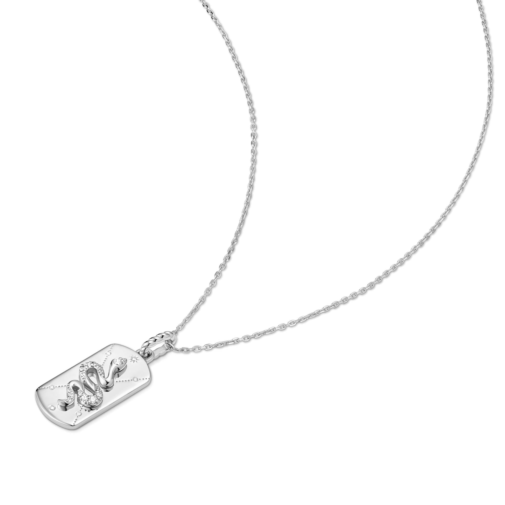 Ania Haie Silver Serpent Necklace