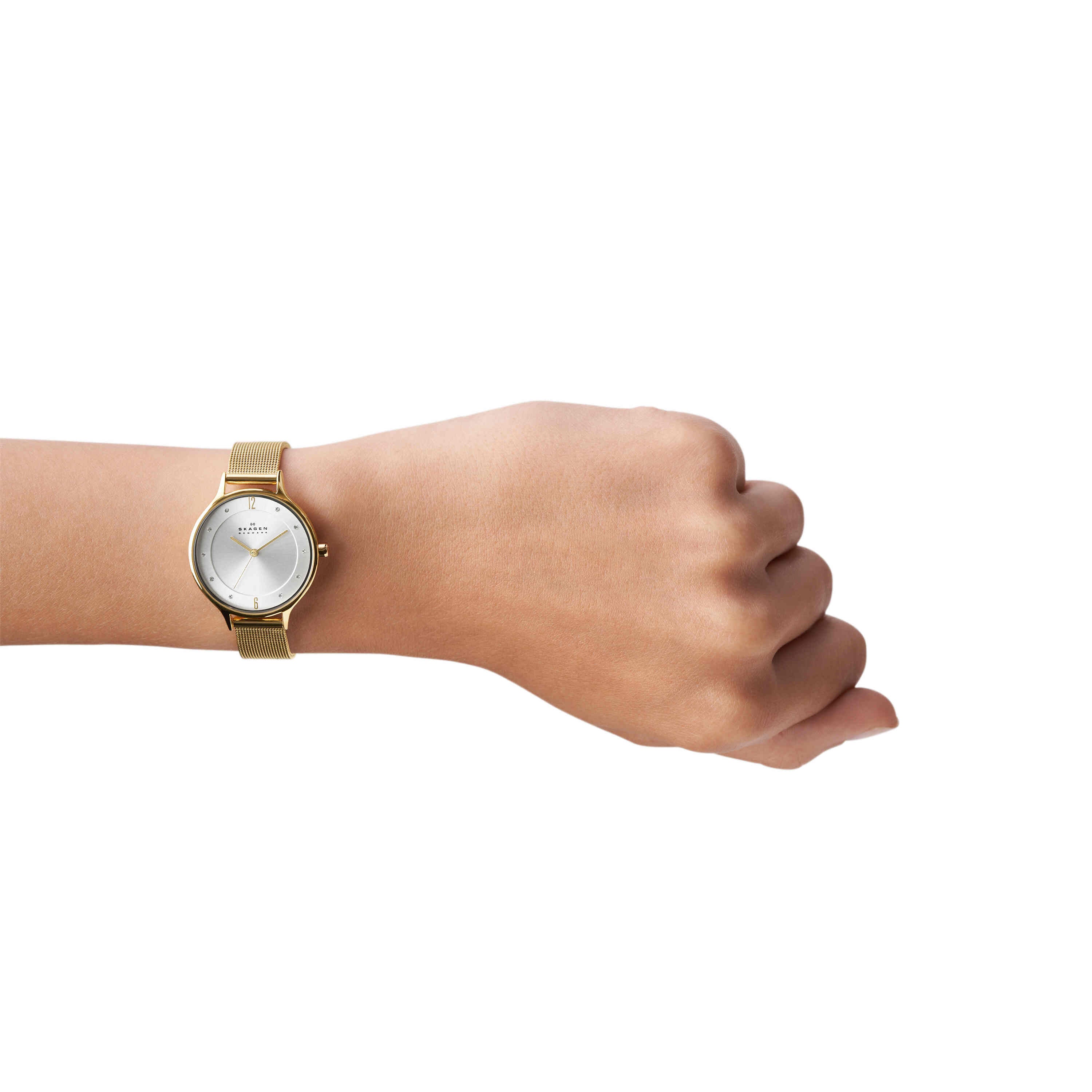 Skagen Anita Lille Silver Dial Womens Watch SKW2150