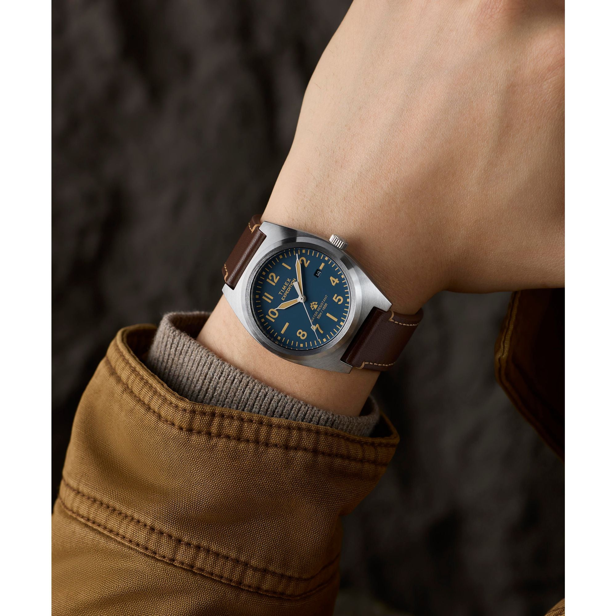 Timex Expedition Capstone Blue Dial with Brown Leather Band TW2Y30600
