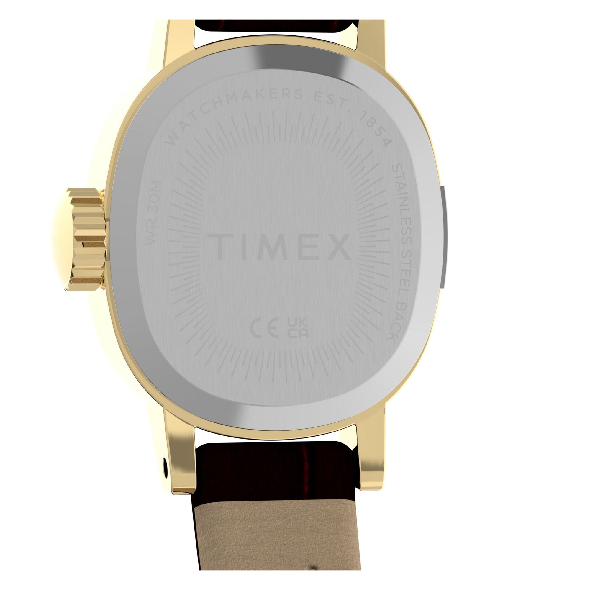 Timex Cavatina Mini TW2Y87700 champagne dial on a brown leather strap, caseback