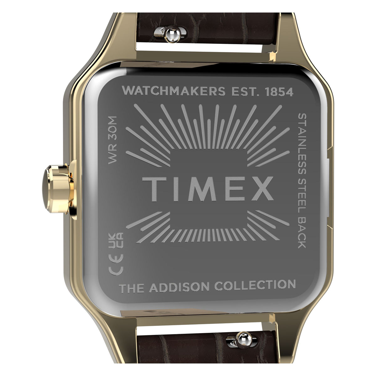 Timex Addison TW2Y90700 champagne dial with Roman numerals on a brown leather strap, caseback