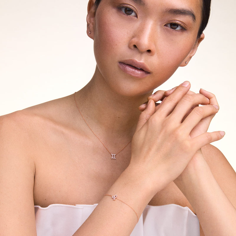 Daniel Wellington 水晶十二生肖链式手链 银色