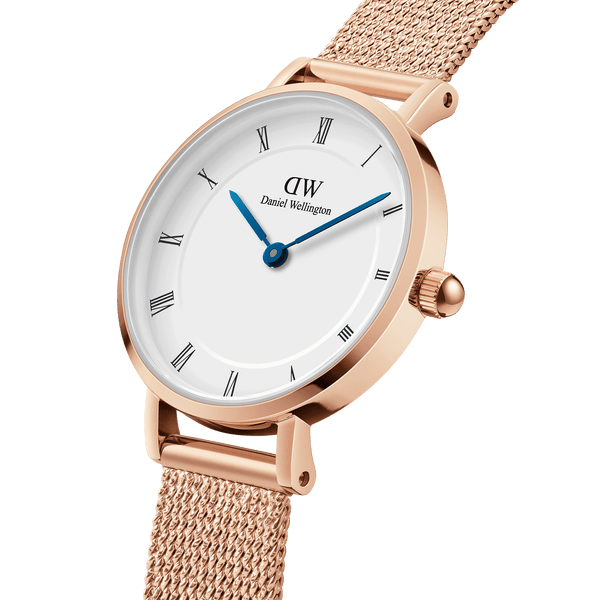 Daniel Wellington 小巧罗马数字 Melrose 手表 DW00100681