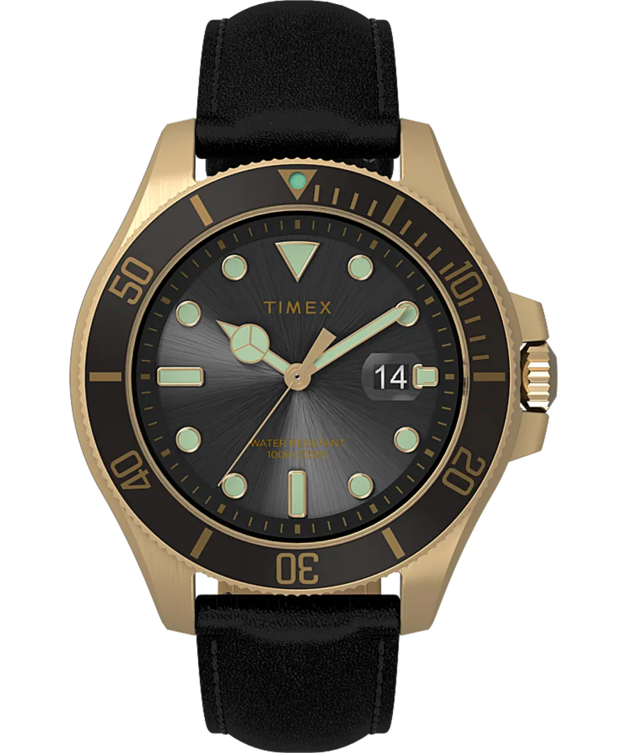 Timex Harborside Coast 43mm Leather Strap Watch TW2V42200