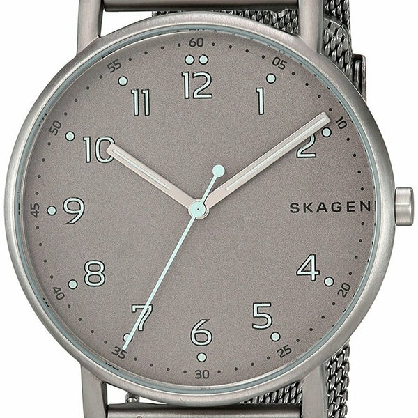 Skagen skw6354 online