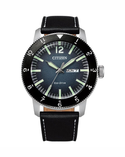 Citizen Eco-Drive Watch AW0077-19L