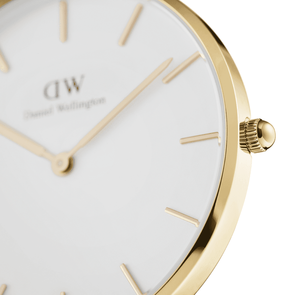 Daniel Wellington Petite 36 毫米 Evergold DW00100346